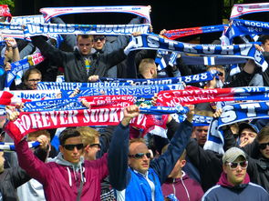 乐鱼体育网址-球迷文化盛宴：从欧洲到亚洲的足球狂欢，中国足球球迷文化